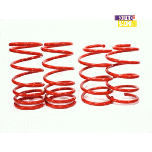 Intrax verlagingsveren set BMW E30 40 of 60 mm - Premium Vering Van Intrax - Voor €194.95! Shop nu bij Schulten Racing Parts